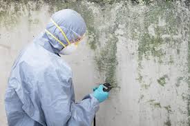 Best Environmental Consulting for Mold Prevention  in Milan, OH